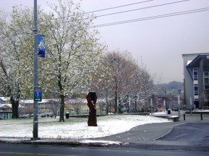 Rainer Valley Post