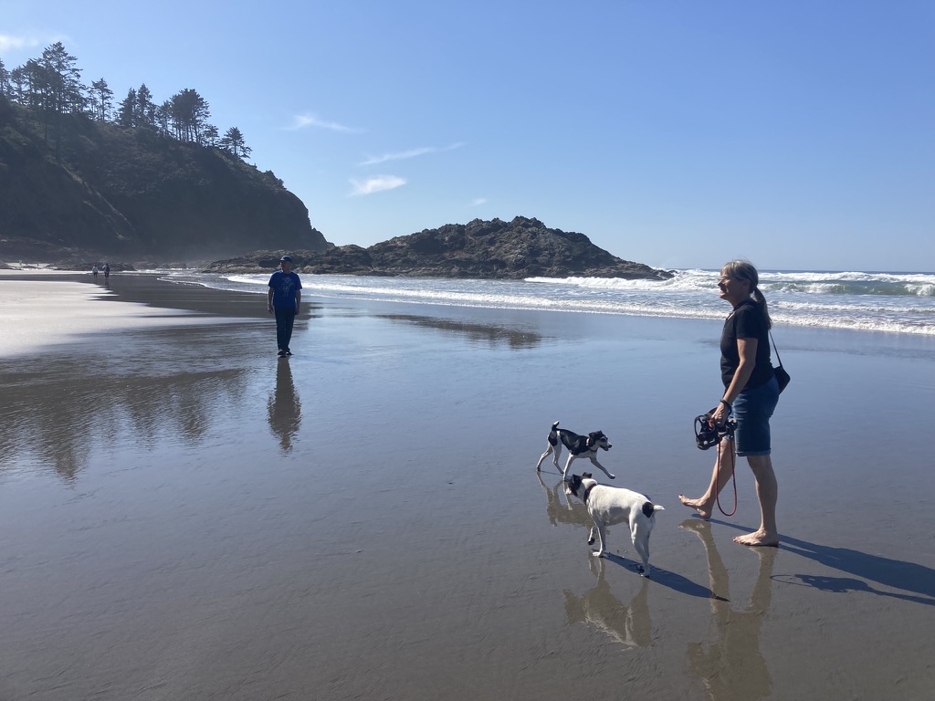 Joe Chiveney Cathy Visser Dagwood and Willa