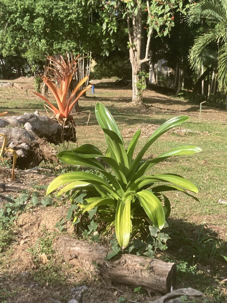 IPRA 2023 Trinidad